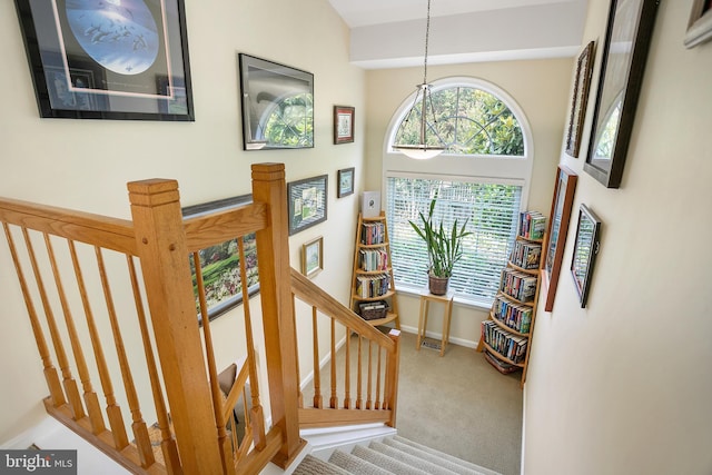 6018 Good Lion Ct, Alexandria, VA 22315 - stairs featuring carpet floors and baseboards
