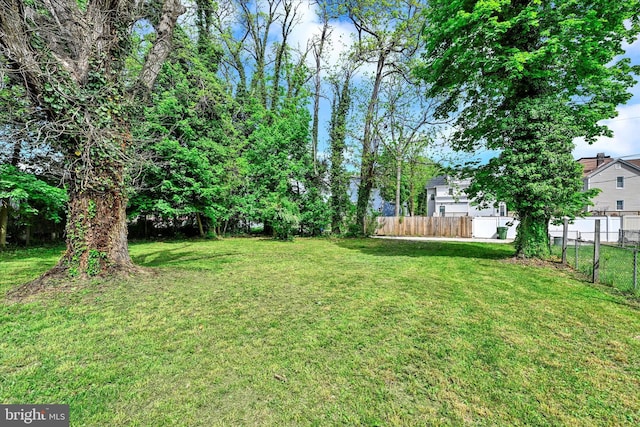 view of yard