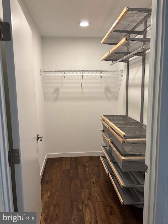 1501 N 31st St Unit 305, Philadelphia, PA 19121 - spacious closet with wood finished floors