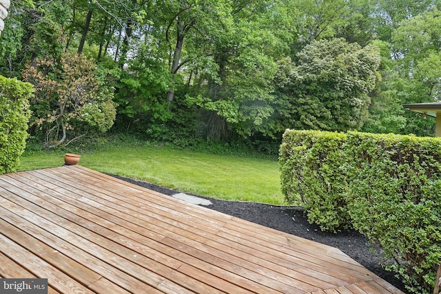 wooden deck featuring a yard