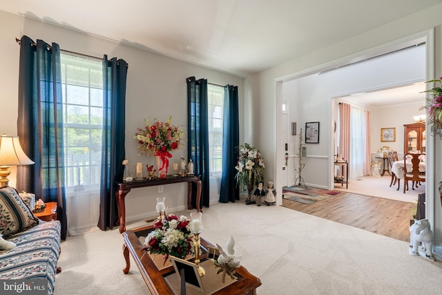 carpeted living room featuring healthy amount of natural light
