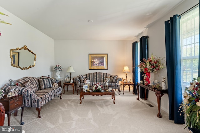 living area featuring carpet flooring