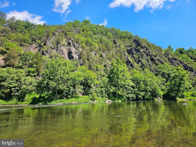 water view featuring a forest