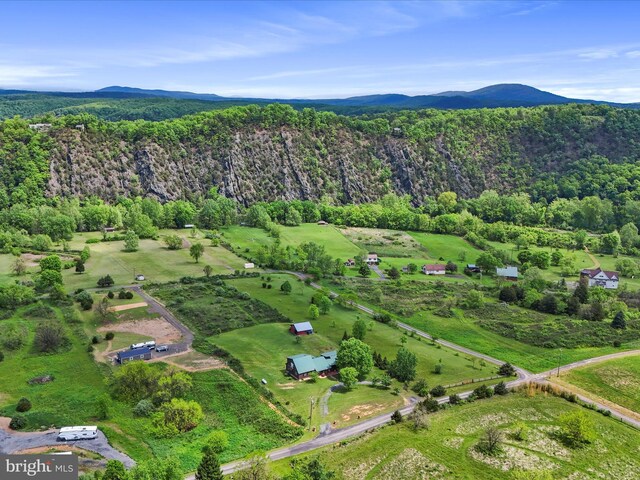 drone / aerial view of a forest and mountains
