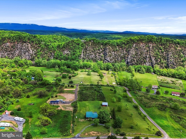 drone / aerial view of a mountainous background and a forest