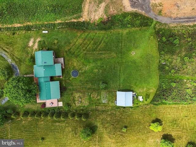 drone / aerial view