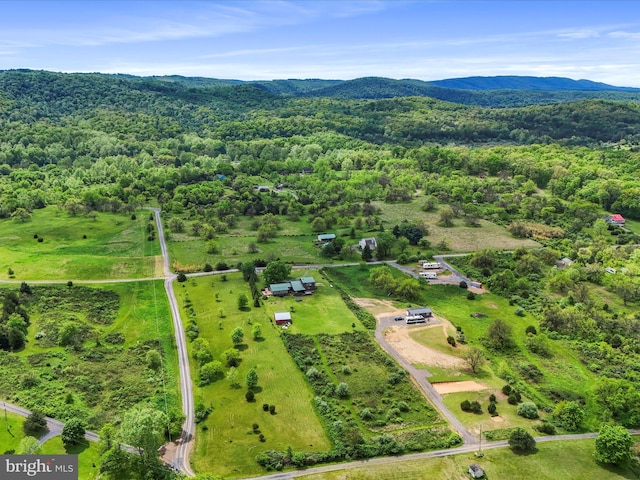 bird's eye view of a mountain backdrop and a forest