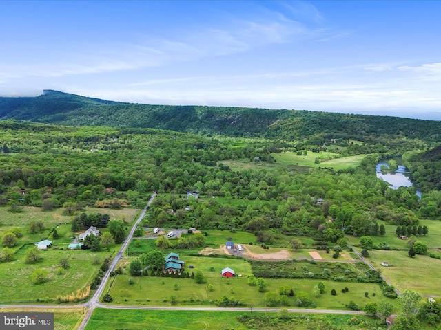 bird's eye view of a heavily wooded area