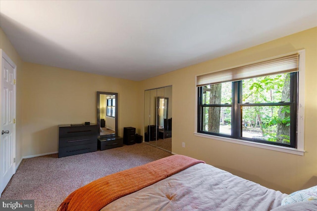 915 Burberry Ct, Sicklerville, NJ 08081 - carpeted bedroom with a closet