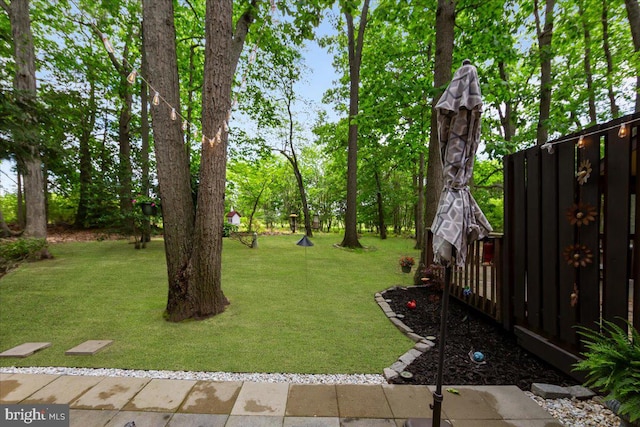 915 Burberry Ct, Sicklerville, NJ 08081 - view of grassy yard