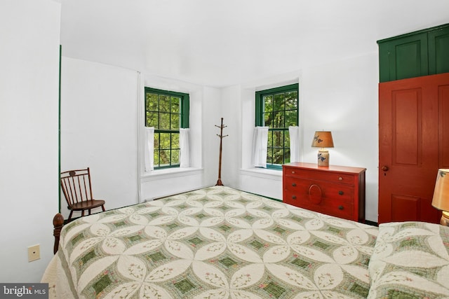 bedroom with multiple windows