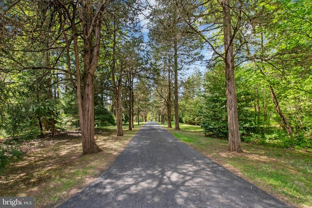 view of road featuring a wooded view