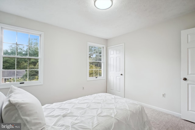 carpeted bedroom with multiple windows and baseboards