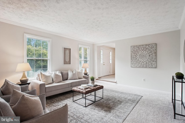 carpeted living room with healthy amount of natural light, ornamental molding, a textured ceiling, and baseboards