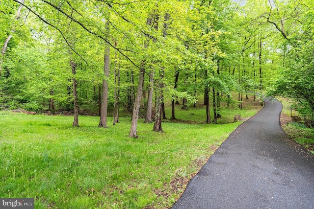 surrounding community with a wooded view