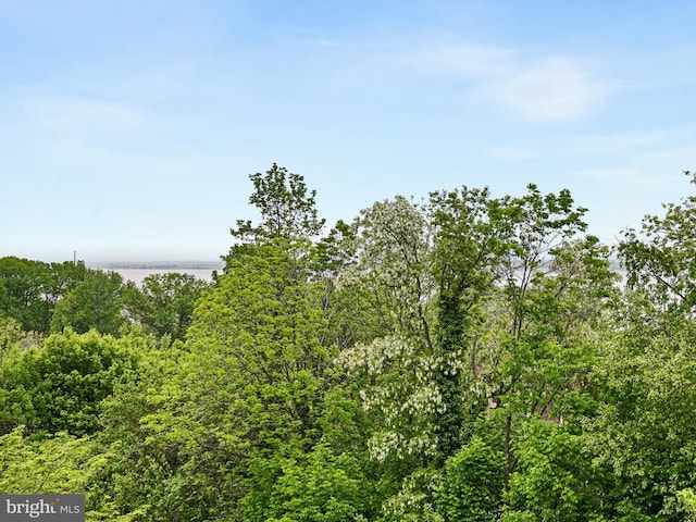 view of wooded area