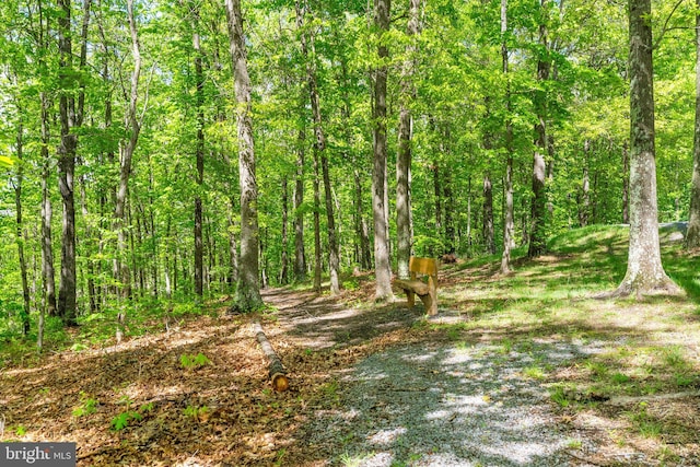view of wooded area