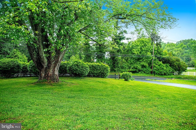 view of green lawn