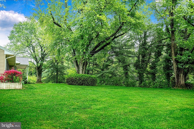 view of grassy yard