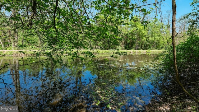 203 E Ferry Rd, Yardley, PA 19067 - water view with a view of trees