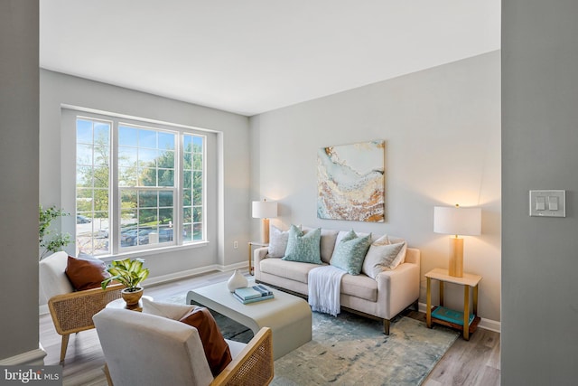 living area featuring baseboards and wood finished floors