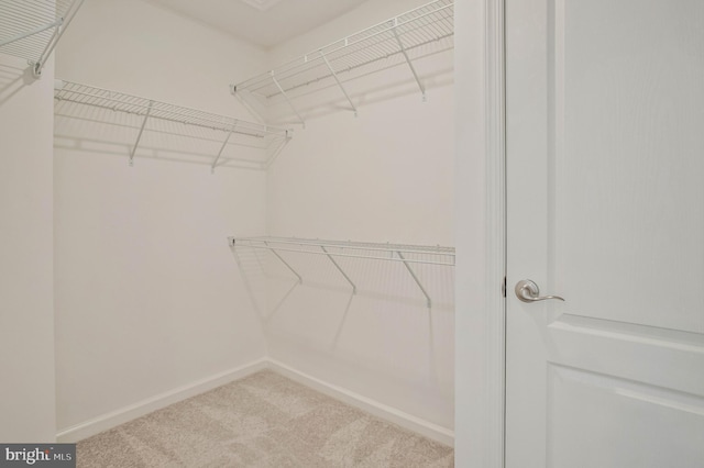 1646 Aster Ln, Hanover, MD 21076 - walk in closet featuring carpet floors