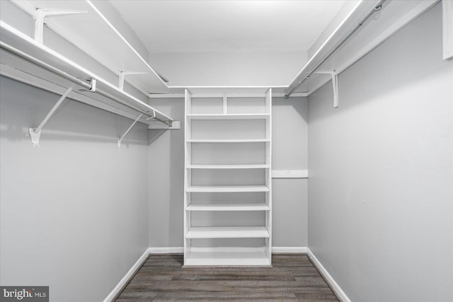 6317 Park Heights Ave Unit 616, Baltimore, MD 21215 - walk in closet featuring wood finished floors