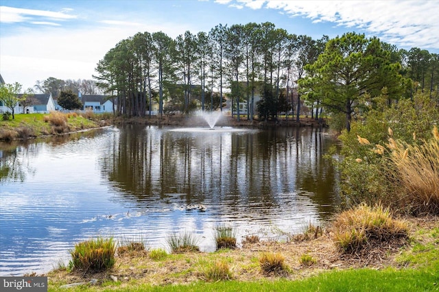 10288 Broken Sound Blvd, Ocean City, MD 21842 - water view