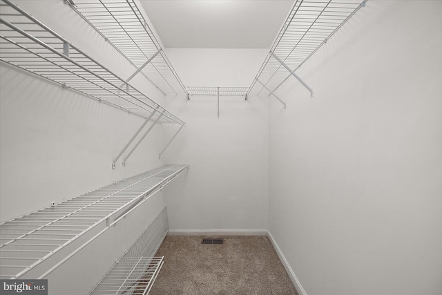 10288 Broken Sound Blvd, Ocean City, MD 21842 - spacious closet with carpet