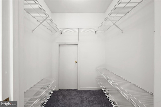 10288 Broken Sound Blvd, Ocean City, MD 21842 - spacious closet featuring carpet flooring