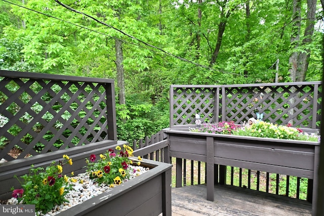 359 Old Linden Rd, Linden, VA 22642 - wooden terrace featuring a view of trees