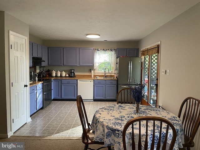 359 Old Linden Rd, Linden, VA 22642 - kitchen featuring white dishwasher, freestanding refrigerator, range with two ovens, a sink, and blue cabinetry