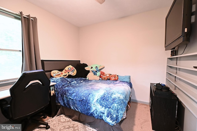 359 Old Linden Rd, Linden, VA 22642 - bedroom with carpet flooring and baseboards