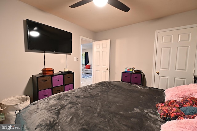 359 Old Linden Rd, Linden, VA 22642 - bedroom featuring ceiling fan
