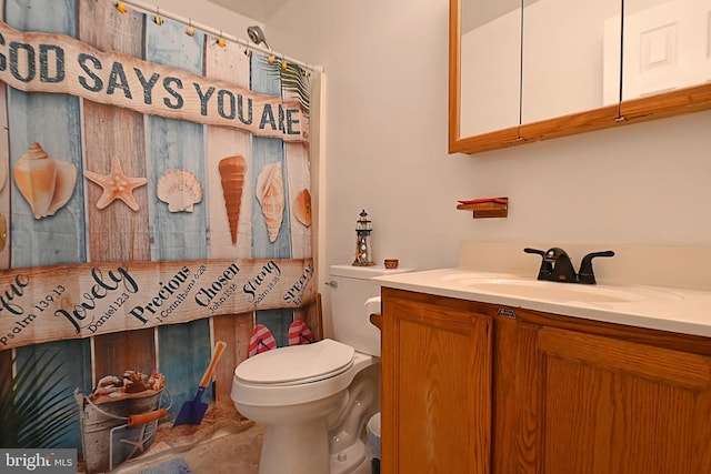359 Old Linden Rd, Linden, VA 22642 - bathroom featuring toilet and vanity