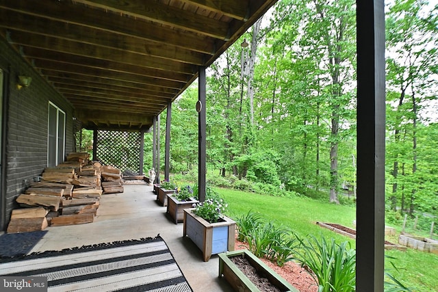 359 Old Linden Rd, Linden, VA 22642 - view of patio / terrace