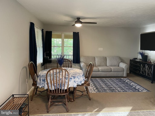 359 Old Linden Rd, Linden, VA 22642 - carpeted dining area featuring a ceiling fan