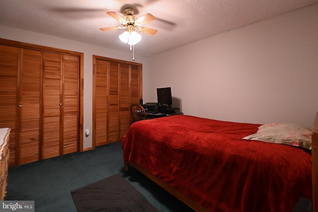 359 Old Linden Rd, Linden, VA 22642 - bedroom featuring two closets, carpet floors, and ceiling fan