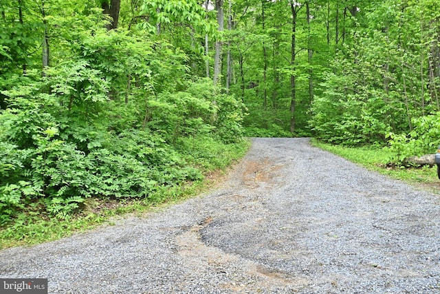 359 Old Linden Rd, Linden, VA 22642 - view of street with a view of trees
