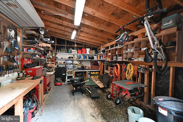359 Old Linden Rd, Linden, VA 22642 - view of storage