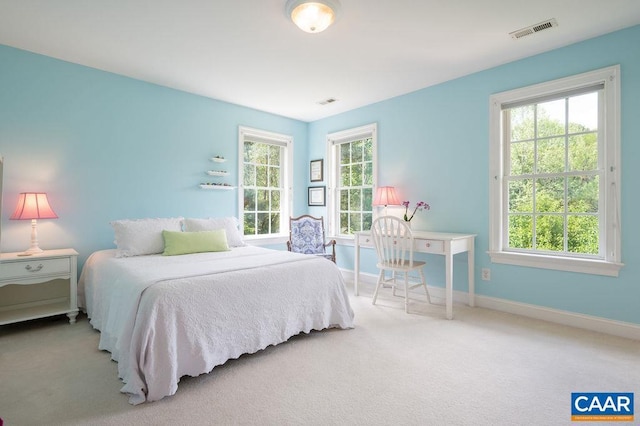 bedroom featuring multiple windows, baseboards, and carpet flooring