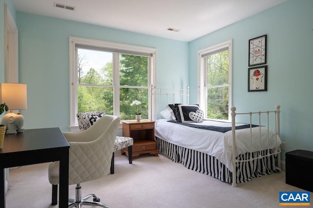 carpeted bedroom with multiple windows
