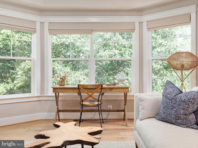 14484 Bluff Point Ct, Gainesville, VA 20155 - living area with wood finished floors and baseboards