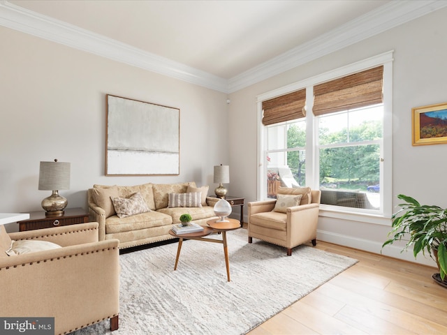 14484 Bluff Point Ct, Gainesville, VA 20155 - living room with crown molding, light wood finished floors, and baseboards
