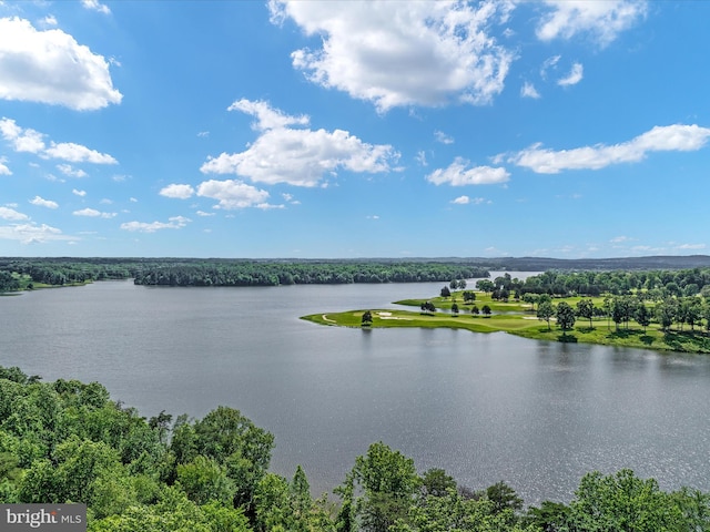 14484 Bluff Point Ct, Gainesville, VA 20155 - water view