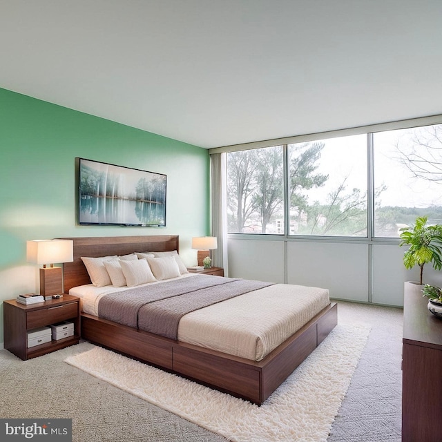 5101 River Rd Unit 811, Bethesda, MD 20816 - bedroom featuring carpet flooring