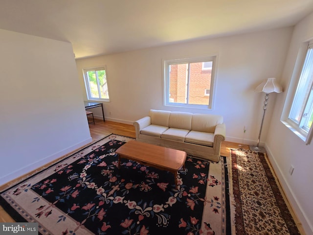 105 S Iris St, Alexandria, VA 22304 - living area featuring wood finished floors and baseboards
