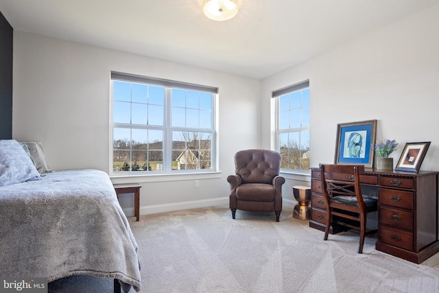 33 Docwill Dr, Barto, PA 19504 - bedroom with carpet and baseboards