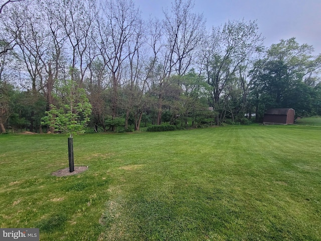 view of yard with a shed and an outbuilding