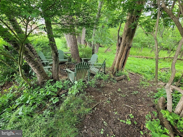 5 Garfield Ct, Gaithersburg, MD 20882 - view of yard